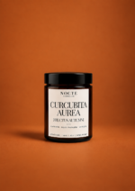 Curcurbita Aurea (Zucca Speziata) - Candela profumata in cera di soia - immagine 2