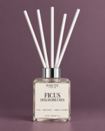 Ficus ( Fico ) - Diffusore per Ambiente - immagine 2